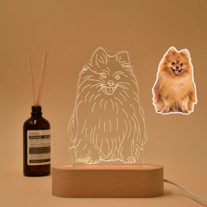 Custom Pet LED Lamp