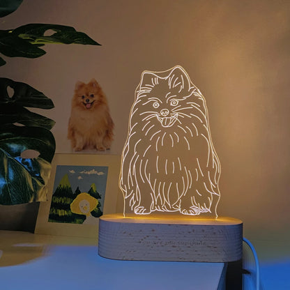 Custom Pet LED Lamp